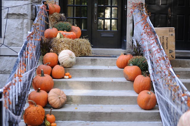 Best Halloween Decor Ideas to Spook Up Your Space